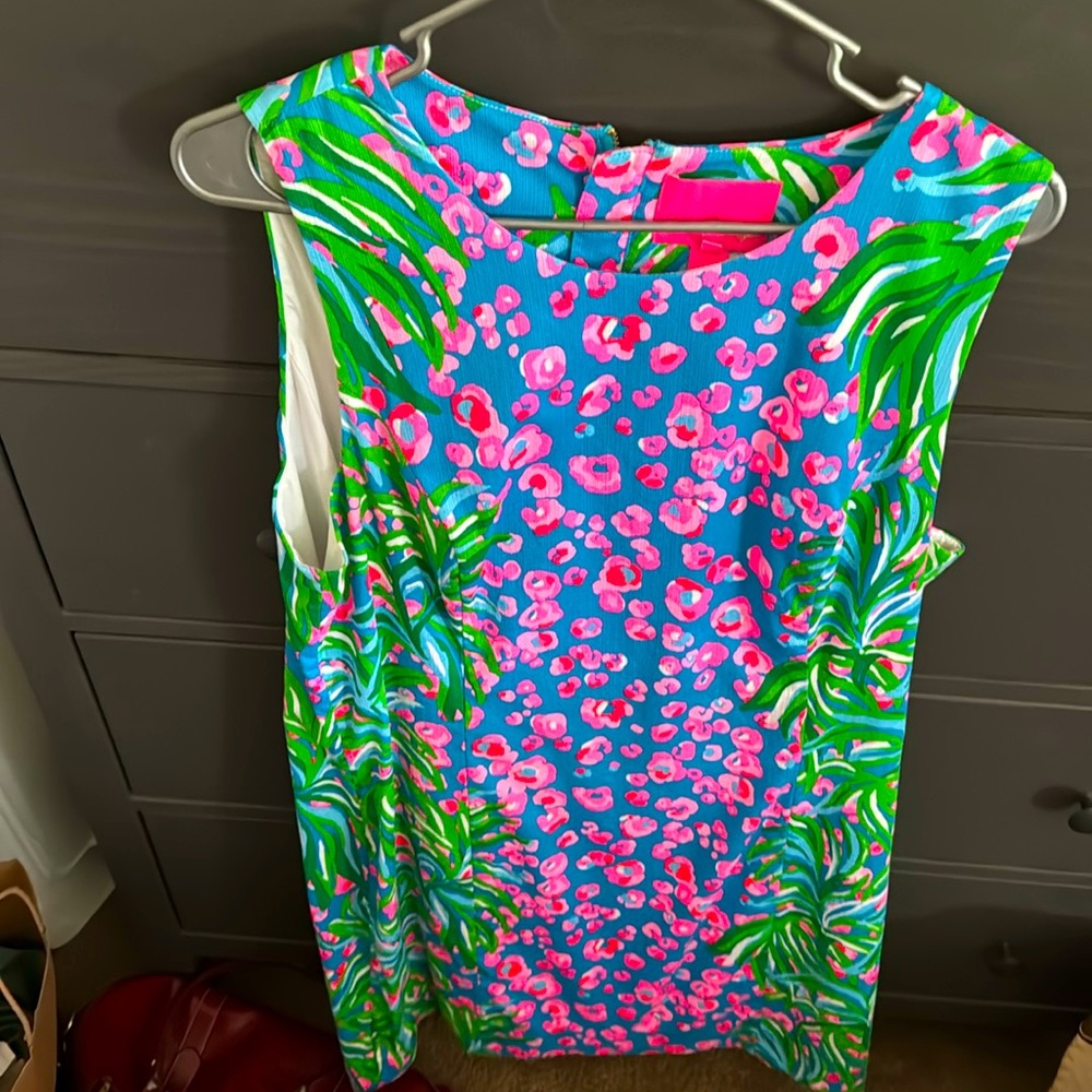 Lily engineered I don’t know the pattern dress